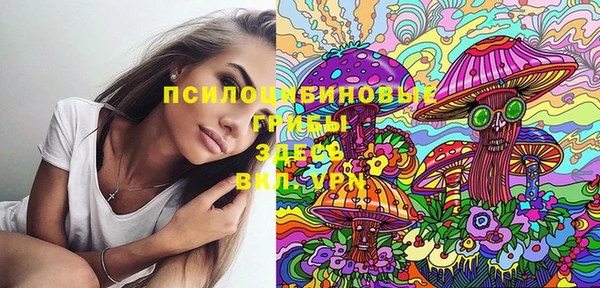 mdma Краснослободск