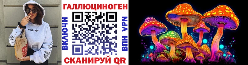 shop телеграм Чудово Псилоцибиновые грибы Psilocybine cubensis