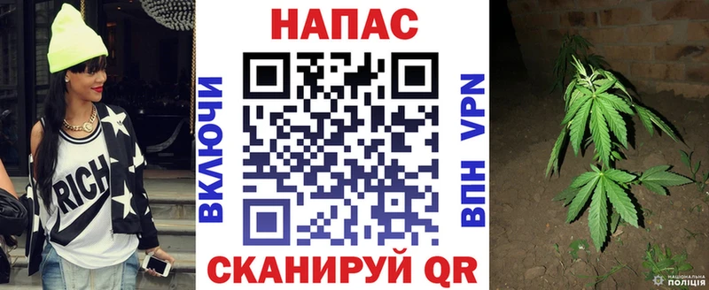 Каннабис White Widow  Чудово 